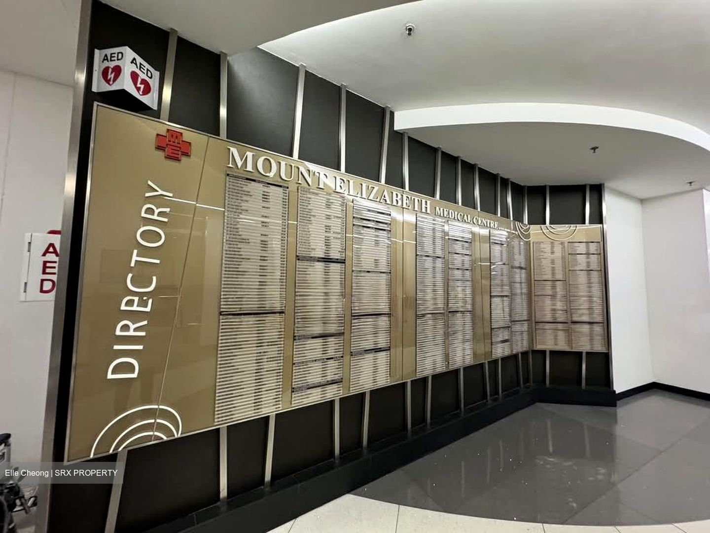 Mount Elizabeth Hospital (D9), Retail #528450721